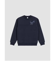 LCW Kids Lacivert Nakışlı Erkek Çocuk Kalın Sweatshirt