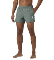 Helly Hansen Cascais Deniz Şortu (Gri)