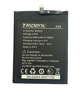 Trident A80 Pil Batarya 4000 Mah