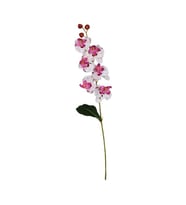 Ogc-0018 62 cm 1 Adet