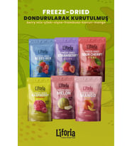 6’lı Dondurulmuş Meyve - Sağlıklı Atıştırmalık - Vişne Kavun Mango Çilek Berry Mix Frambuaz