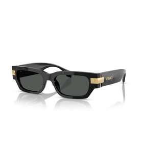 Versace VE4465 GB1-87 Erkek Güneş Gözlüğü