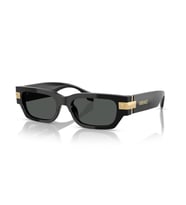 Versace VE4465 GB1-87 Erkek Güneş Gözlüğü