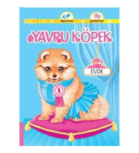 Yavru Köpek Evde