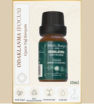 Odaklanma ( Focus ) Uçucu Yağ Karışımı, Özel Seri, 10 ml Ve Buhurdanlık