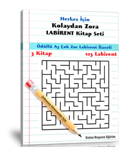 Herkes İçin Kolaydan Zora Labirent Kitap Seti