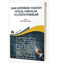 Sınıf Eğitiminde Yaşanan Güncel Sorunlar ve Çözüm Önerileri