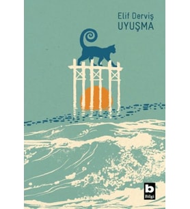 Uyuşma