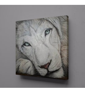 BEYAZ ASLAN KANVAS TABLO 60x60cm (Karışık)