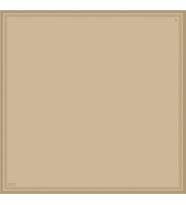Saf İpek Eşarp 4129D02( Twill İpek) -0455 (Gold)