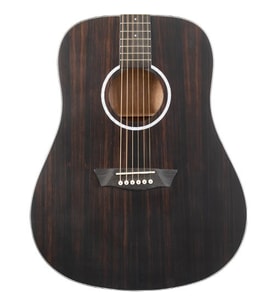 Washburn DFED Deep Forest Ebony Akustik Gitar (Profesyonel - Dreadnought Kasa)  Egzotik Abanoz Üst Kapak, Okoume Arka ve Yanlar, Mat Bitiş, Derin ve Sıcak Ton  Ölçüler: 648 mm Skala Uzunluğu