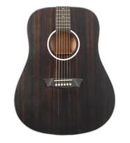 Washburn DFED Deep Forest Ebony Akustik Gitar (Profesyonel - Dreadnought Kasa)  Egzotik Abanoz Üst Kapak, Okoume Arka ve Yanlar, Mat Bitiş, Derin ve Sıcak Ton  Ölçüler: 648 mm Skala Uzunluğu