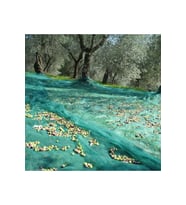 Dut Filesi – Yüzde 75lik – Yeşil – Şeritli Halkalı - 2 Metre x 4 Metre