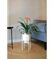 Metal Saksı Ayaklı Dekoratif Çiçeklik Vazo Beyaz Gold Detaylı Saksılık 41x21cm