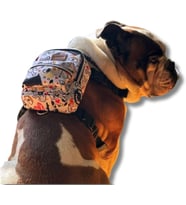 Köpek Sırt Çantası – 2’si 1 Arada Göğüs Tasması Fonksiyonlu, Geri Dönüştürülmüş, Su Geçirmez, Ayarlanabilir, Küçük & Büyük Irklar için, Çantalı Göğüs Tasması,Small,Whitebone