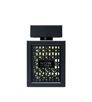 Rave Now EDP 100 ml Erkek Parfümü