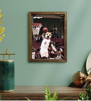 Evcil Dostlara Özel Basketbol Oyuncusu Tasarımlı Portre Doğal Masif Ahşap Çerçeveli Tablo 30x40cm-1