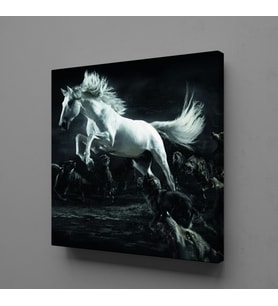 BEYAZ AT KANVAS TABLO 150x150cm