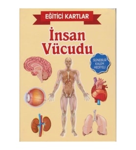 Eğitici Kartlar-insan Vücudu