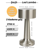 Gümüş Rengi LED Masa Lambası, 3 Renkli Işık, USB Şarjlı, Ev ve Ofis Kullanımı (Krem)