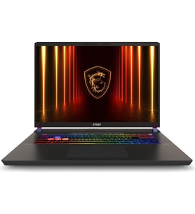 MSI VECTOR 17 HX AI A2XWHG-086TR Intel Core Ultra 7 255HX 32GB 1TB SSD RTX5070Ti Windows 11 Home 17" QHD+ 240Hz Taşınabilir Bilgisayar