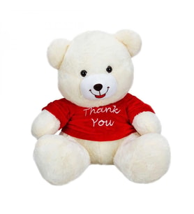 1506 T-Shirtlü Oturan Peluş Ayı 60 cm -Sunman