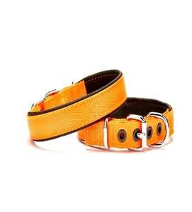 Softlu Köpek Boyun Tasması 2 cm x 40 cm Tcu