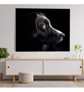 Sevimli Siyah Köpek Dekoratif Kanvas Tablo