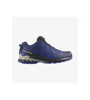 Salomon Xa Pro 3D V9 Gore-Tex® Erkek Koşu Ayakkabı Mavi