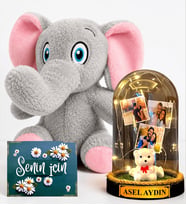 Kişiye Özel 3 Fotoğraflı & Yazılı Led Işıklı Fanus ve Peluş Sevimli Fil Hediye Seti
