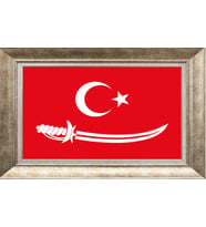 GÜMÜŞ ÇERÇEVELİ TABLO N703