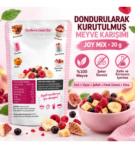 Fresh Dondurularak Kurutulmuş Joy Mix 20 g