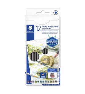Staedtler C12 Tinted Watercolour Kuruboya Kalem Seti 12li
