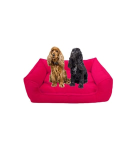 Teknor Elite Köpek Yatağı Medium Orta Irklar Için 70x50 Cm