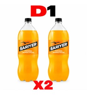 SARIYER PORTAKAL 2,5 LT (2 Adet)