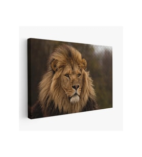Aslan Dekoratif Kanvas Tablo 1159