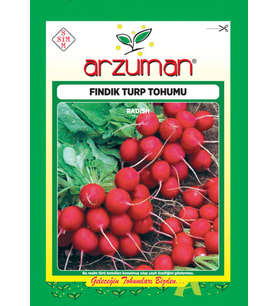 Fındık Turp Tohumu 25 Gr