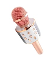 Karaoke Mikrofon Ws-858 -and01096