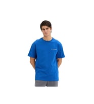 Quiksilver Küçük Yazı Baskılı Erkek Tişört TRQMS26110