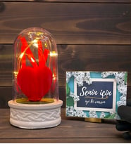 Led Işıklı Tasarım Fanus ve Senin İçin İyi Ki Varsın Kartı Hediye Seti (Model 3)