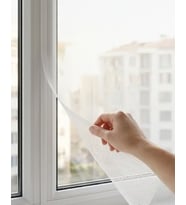 PENCERE SİNEKLİK