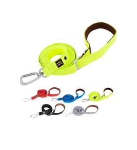 INTERLAKEN Köpek Tasmasi G230 Ayarlanabilir Uzunluk Hafif Toka Tasma Emniyet Kemeri Karabina 2.3 m NEON YESIL RENK M BEDEN