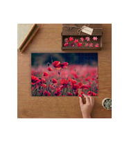 Günbatımında Gelincik Tarlası Tasarımı 240 parça Ahşap Puzzle Ahşap Kutuda MP05254