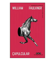 Çapulcular