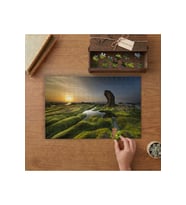 Yosun Örtülü Deniz Kıyısı Tasarımı 240 parça Ahşap Puzzle Ahşap Kutuda MP05239