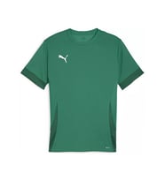 Puma Teamgoal Matchday Jersey Erkek Futbol Antrenman Tişörtü 70574705 Renkli (Çok Renkli)