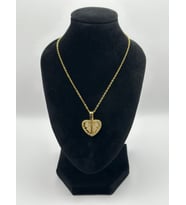 Arnes Jewelry Çelik Zirkon Taşlı Kalpli Kolye Gold- Silver (Gold)