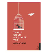 Yanlış Giden Bir Şeyler Var