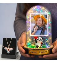 Size Özel Renkli Led Işıklı Pandalı Fanus ve Renkli Anka Kuşu Kolye