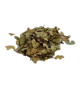 Doğan Şimşir Yaprağı Doğal 1000 Gr Paket (Yeşil)